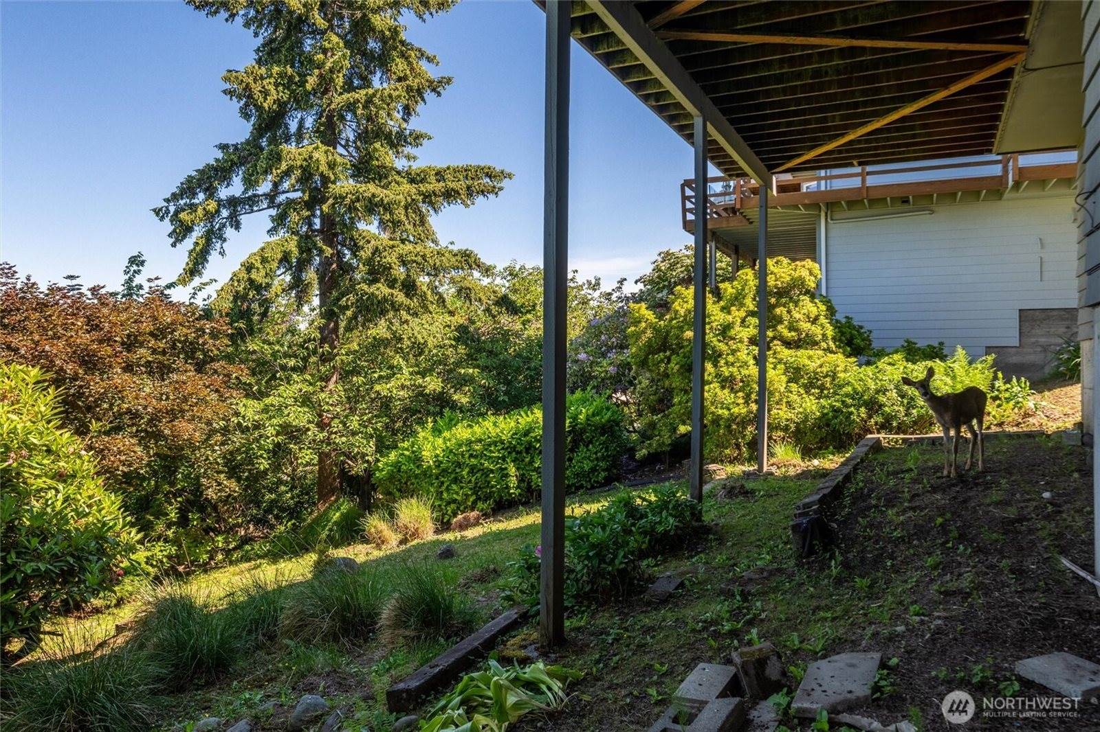224 Forest Lane, Bellingham, WA 98225