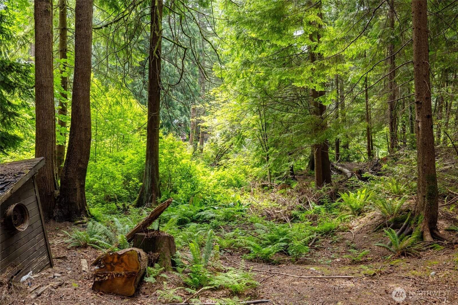 25368 Old Day Creek Road, Sedro Woolley, WA 98284
