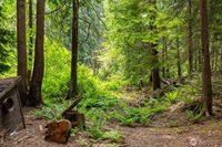 25368 Old Day Creek Road, Sedro Woolley, WA 98284