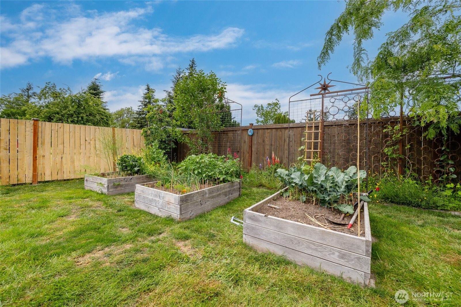820 Borseth Street, Sedro Woolley, WA 98284
