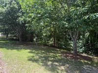 7242 Racine Way, Raleigh, NC 27615