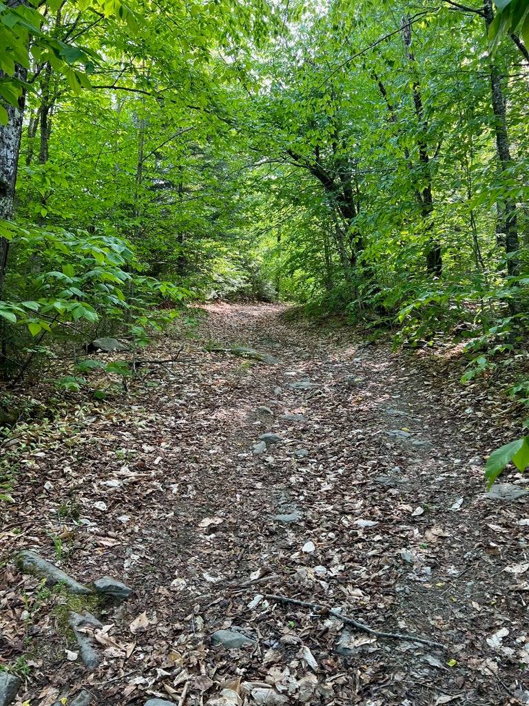60 Hutchinson Road, Linneus, ME 04730
