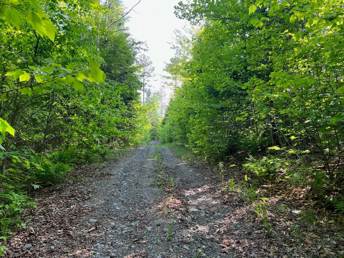 60 Hutchinson Road, Linneus, ME 04730