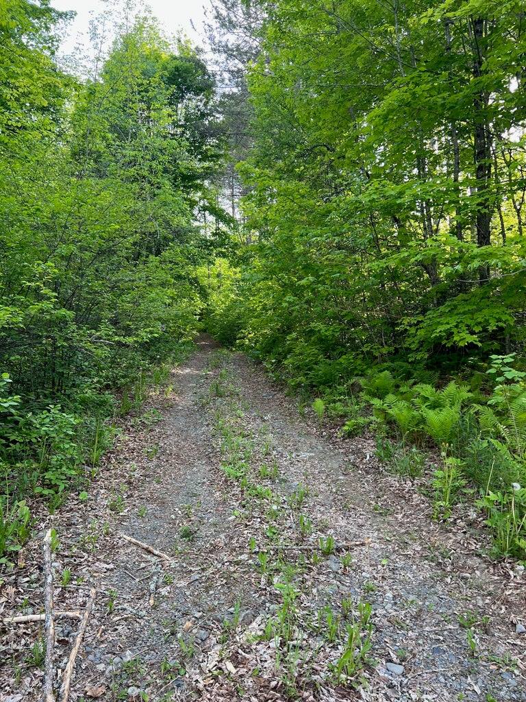 60 Hutchinson Road, Linneus, ME 04730