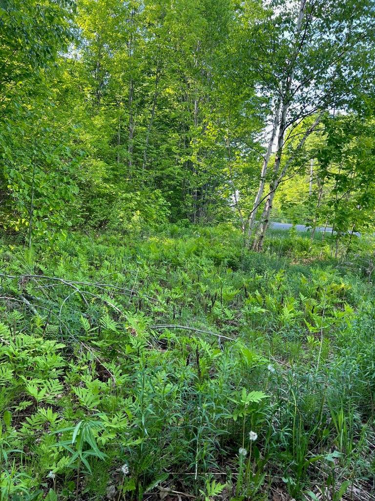 60 Hutchinson Road, Linneus, ME 04730