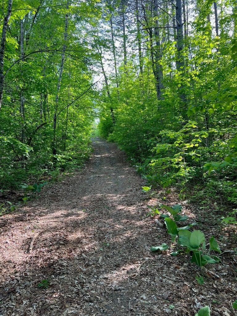 60 Hutchinson Road, Linneus, ME 04730