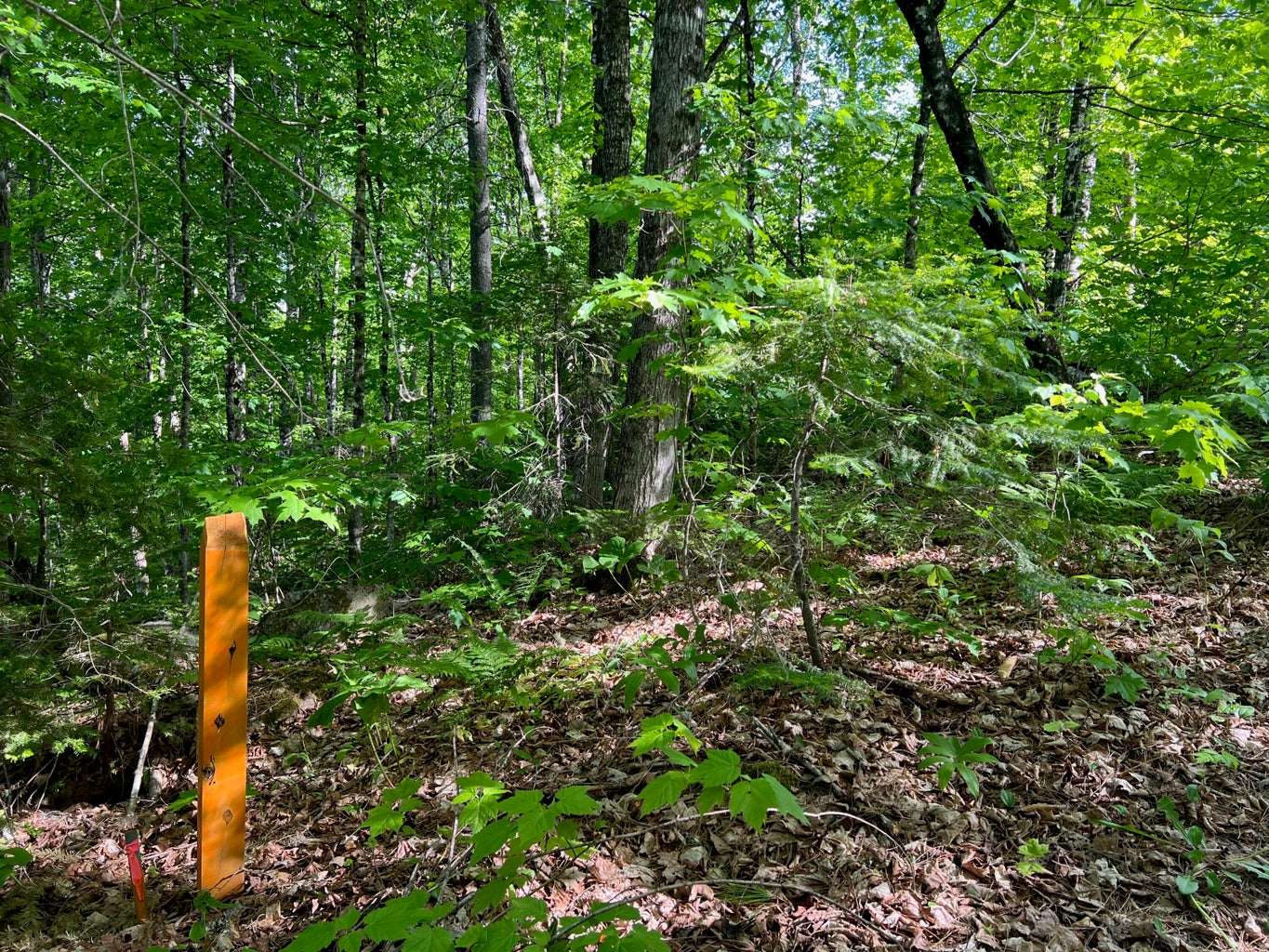 60 Hutchinson Road, Linneus, ME 04730