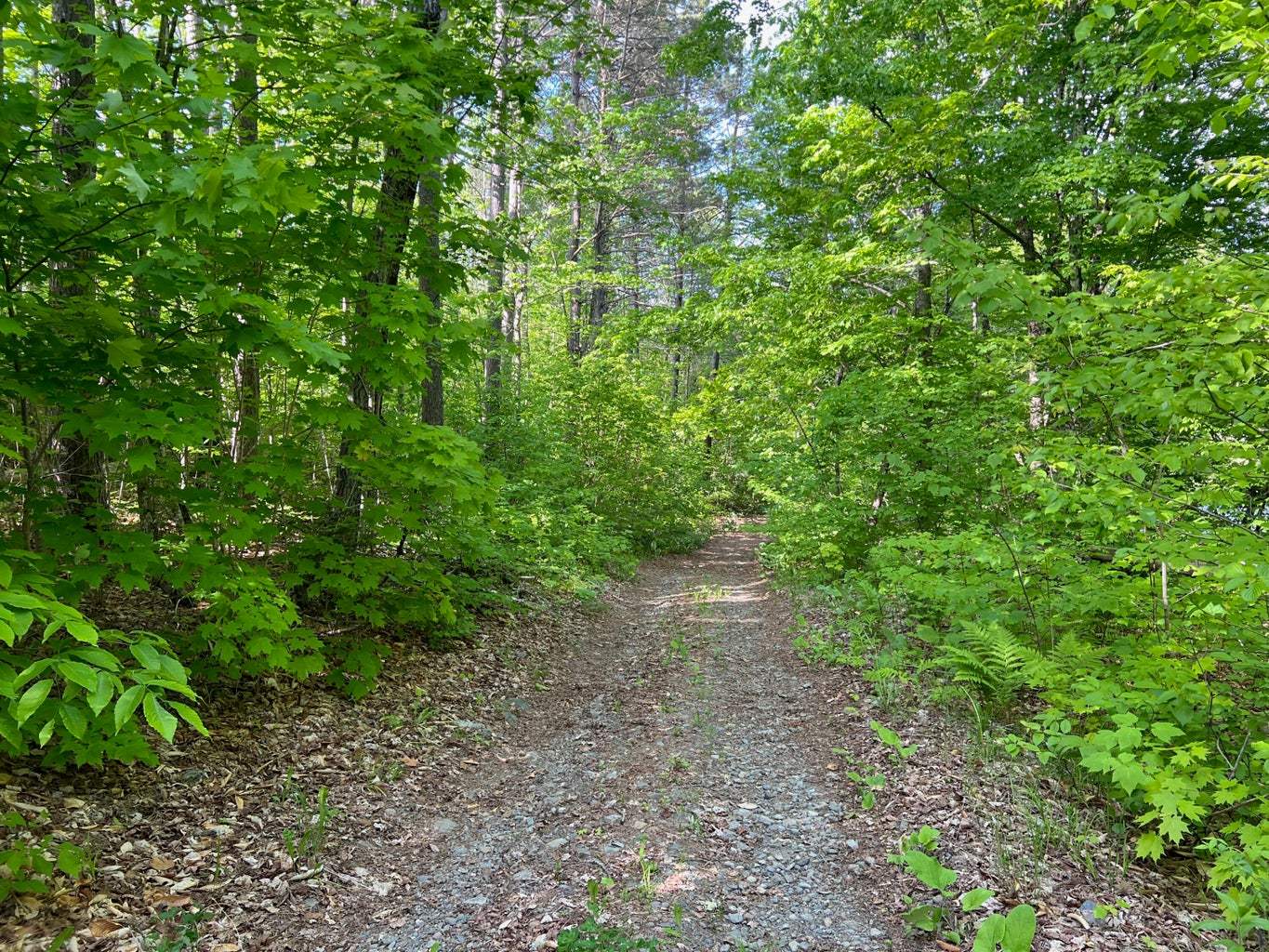 60 Hutchinson Road, Linneus, ME 04730