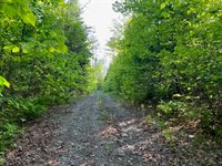 60 Hutchinson Road, Linneus, ME 04730