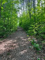 60 Hutchinson Road, Linneus, ME 04730