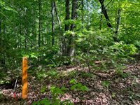 60 Hutchinson Road, Linneus, ME 04730