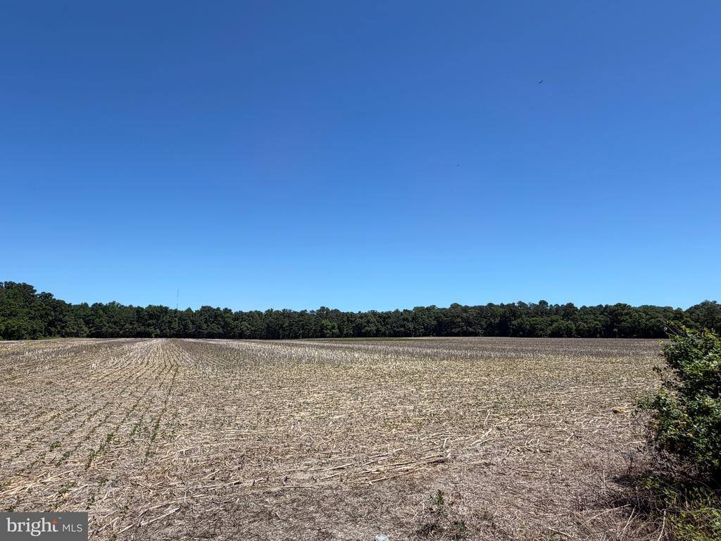 29199 Cordrey Road, Millsboro, DE 19966