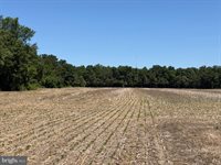 29199 Cordrey Road, Millsboro, DE 19966