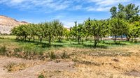 3462 F Road, Clifton, CO 81520