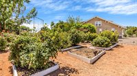 3462 F Road, Clifton, CO 81520