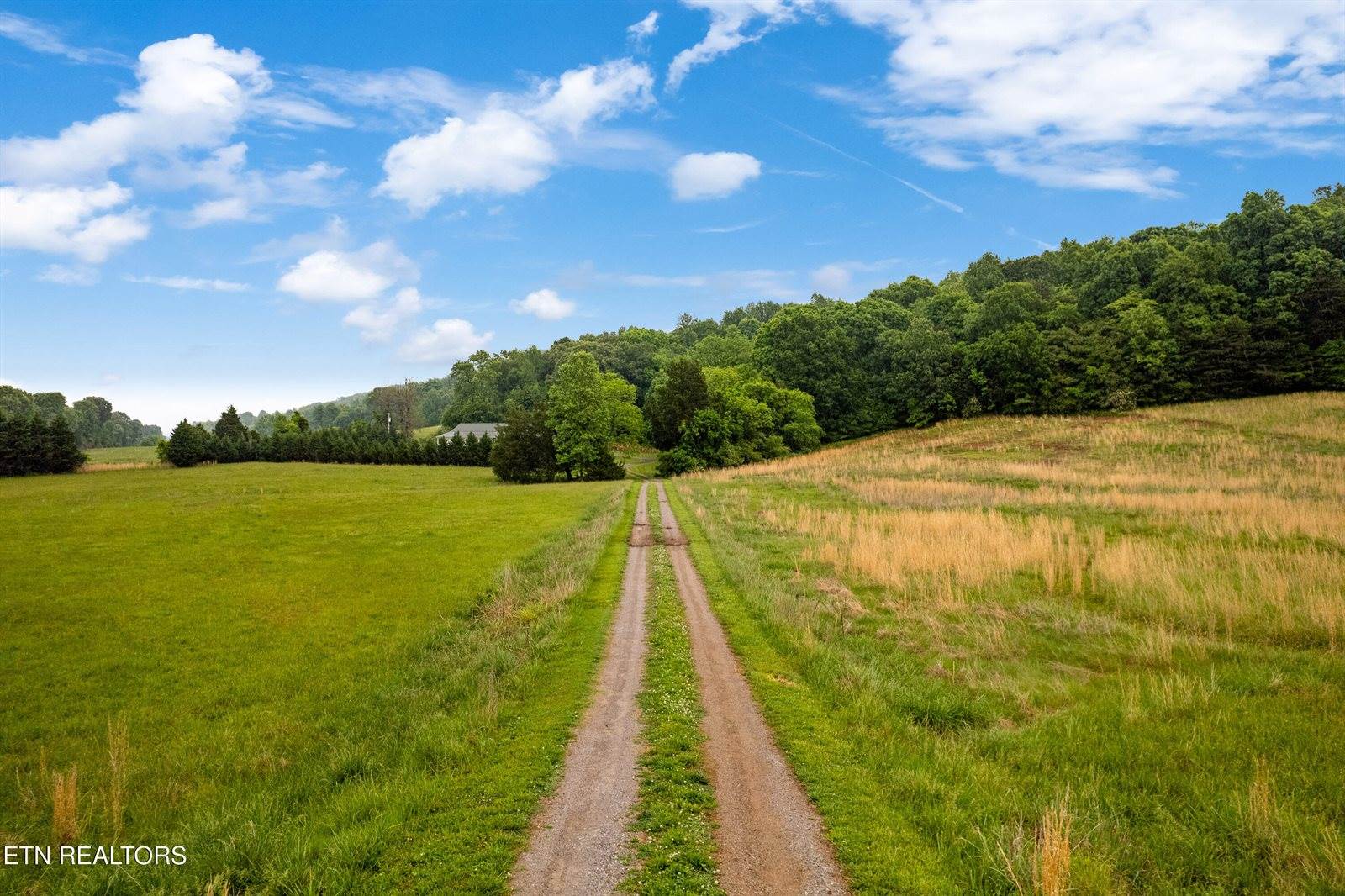 1700 Cedar Valley Rd, Sweetwater, TN 37874