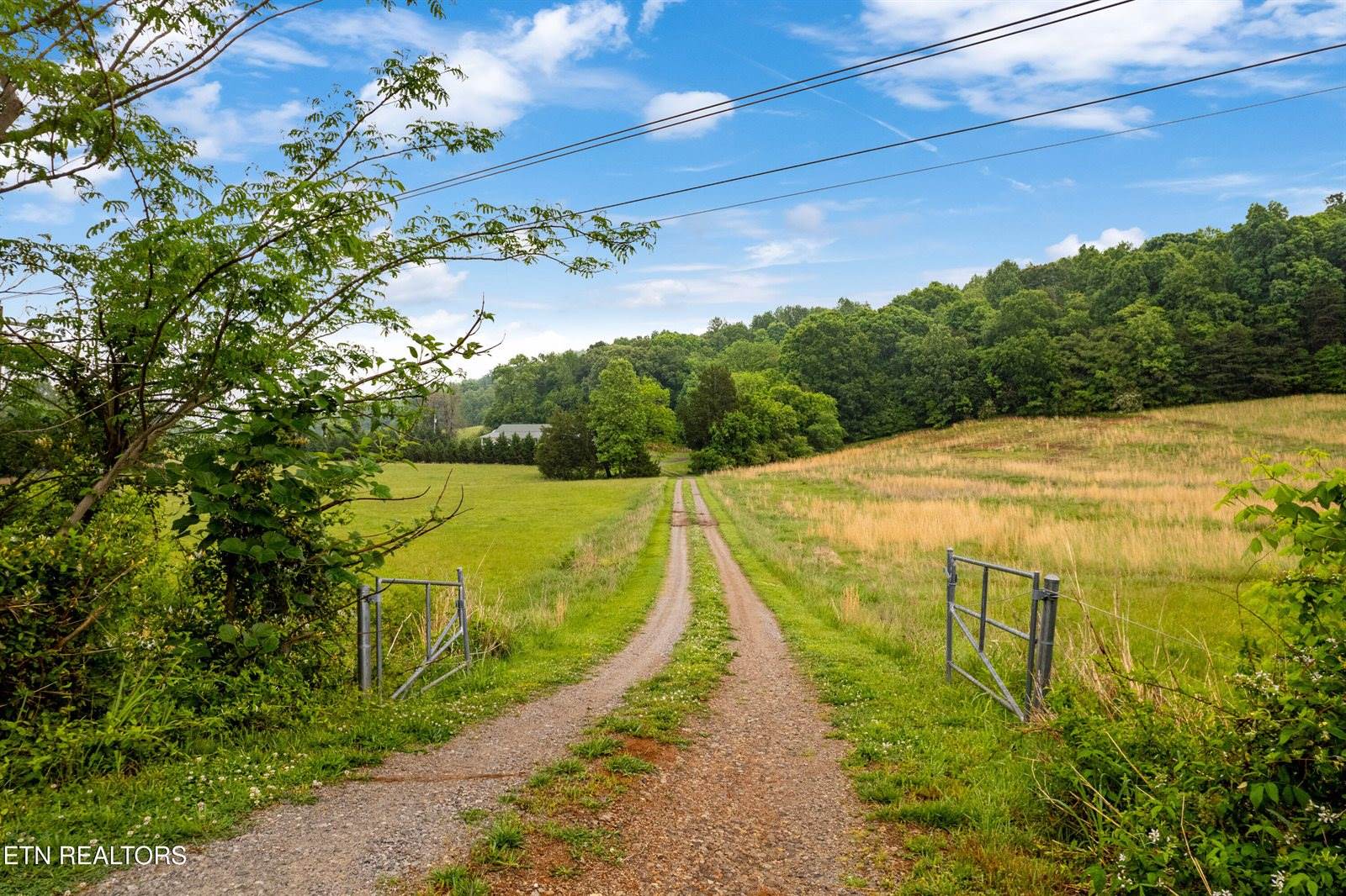 1700 Cedar Valley Rd, Sweetwater, TN 37874