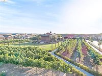 1696 Provence Ln, Brentwood, CA 94513