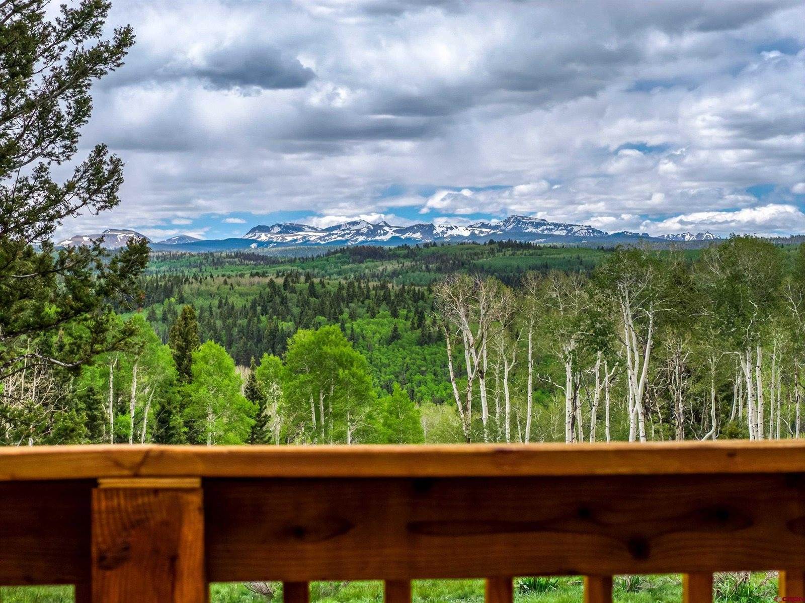 779 Balsam Drive, Cimarron, CO 81220