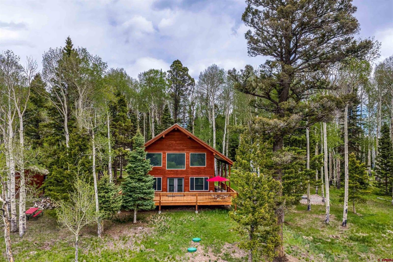 779 Balsam Drive, Cimarron, CO 81220