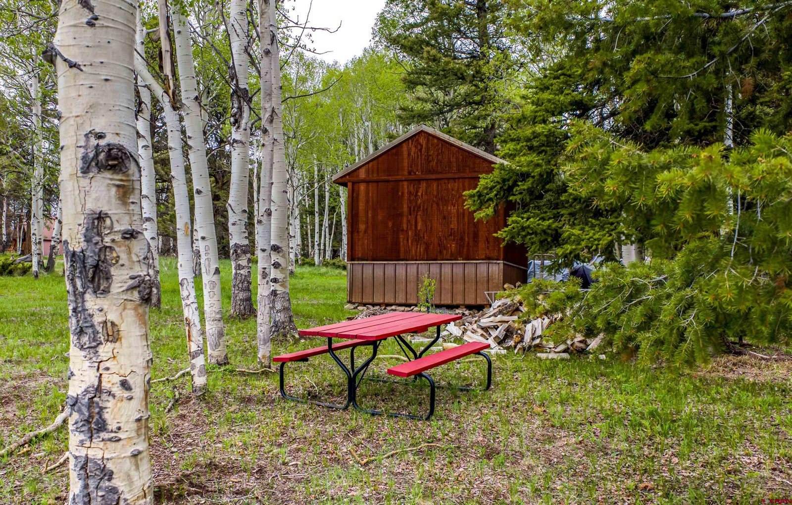 779 Balsam Drive, Cimarron, CO 81220