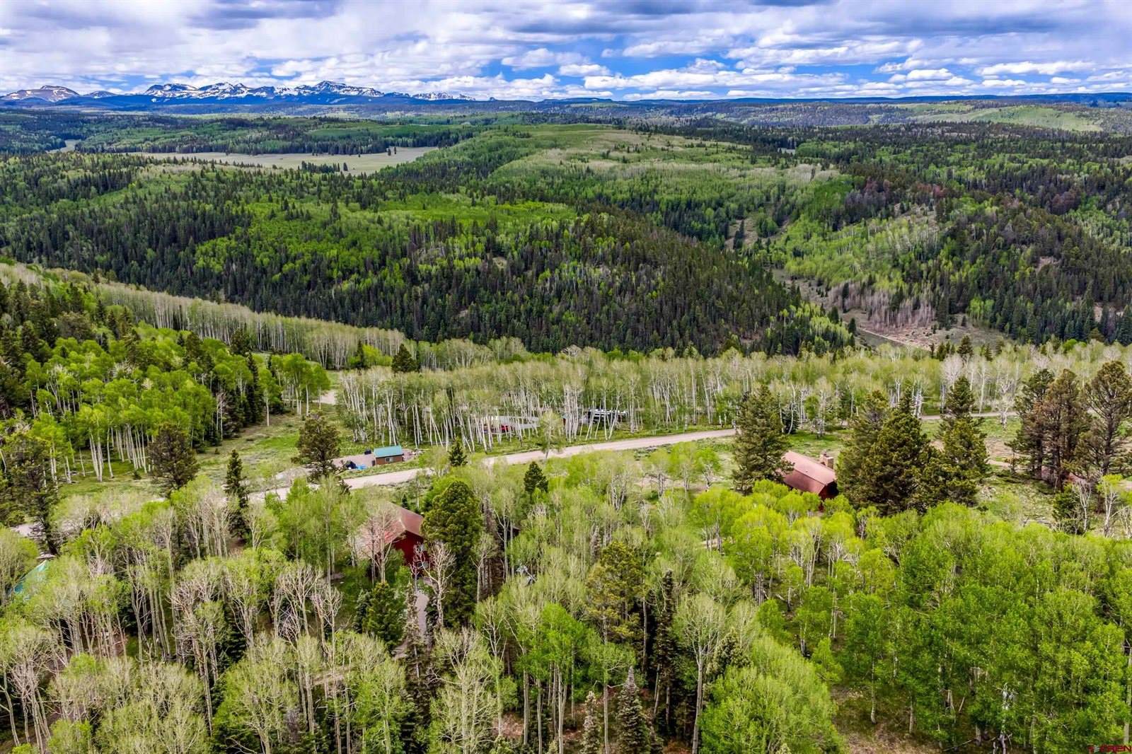 779 Balsam Drive, Cimarron, CO 81220