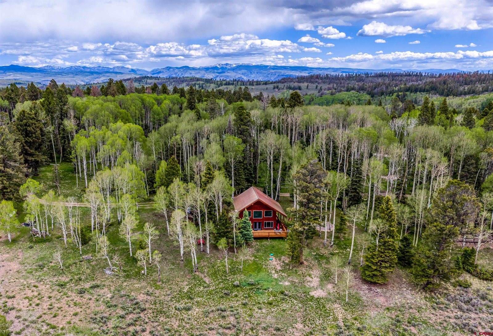 779 Balsam Drive, Cimarron, CO 81220