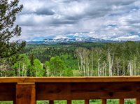 779 Balsam Drive, Cimarron, CO 81220