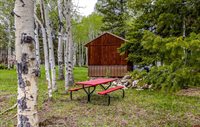 779 Balsam Drive, Cimarron, CO 81220