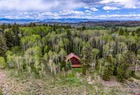779 Balsam Drive, Cimarron, CO 81220