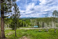 779 Balsam Drive, Cimarron, CO 81220