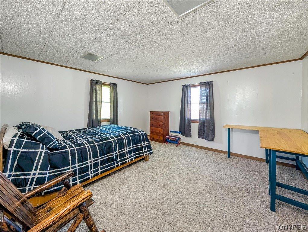 9741 Route 446, Cuba, NY 14727