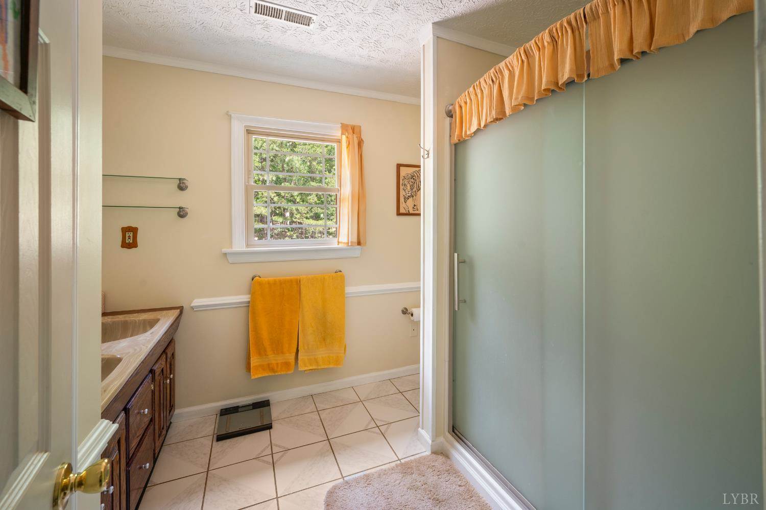 357 Mt Vista Drive, Lynchburg, VA 24504