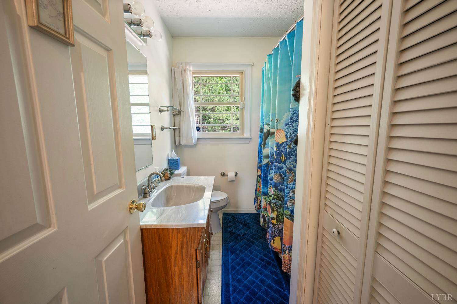 357 Mt Vista Drive, Lynchburg, VA 24504