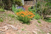 357 Mt Vista Drive, Lynchburg, VA 24504