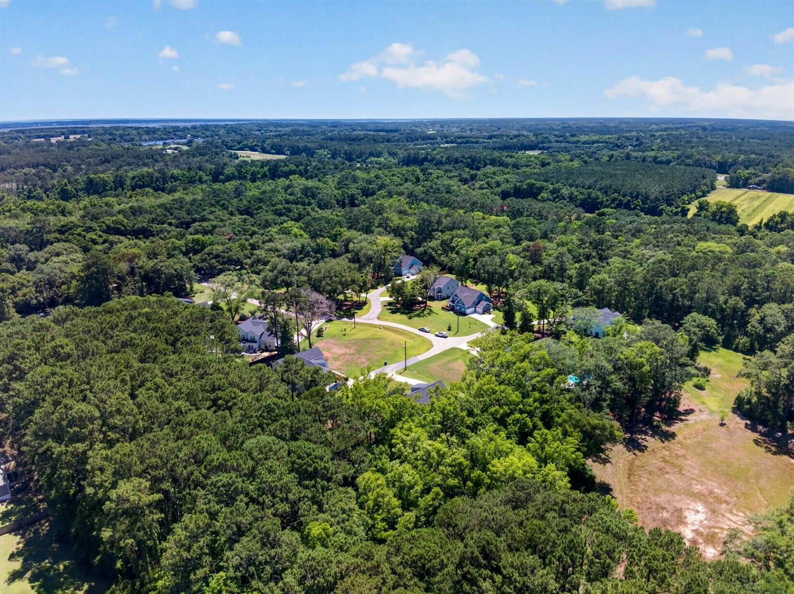 4336 John Hatch Drive, Johns Island, SC 29455