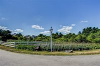 143 Hampton Meadows, Hampton, NH 03842
