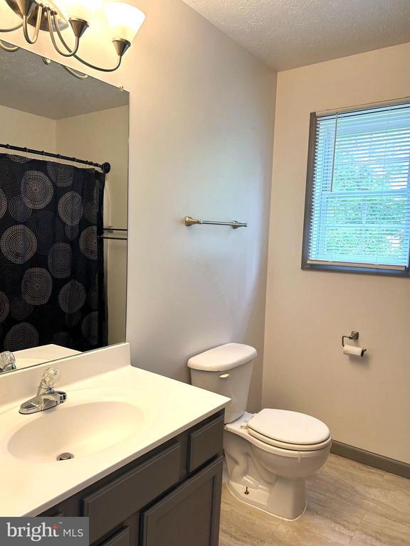 426 Ridgefield Avenue, Stephens City, VA 22655