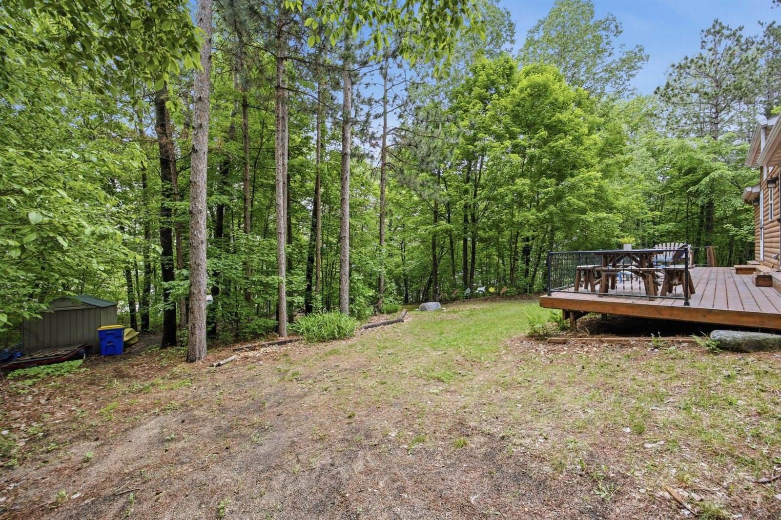 51305 Curly Drive, Deer Creek, MN 56527