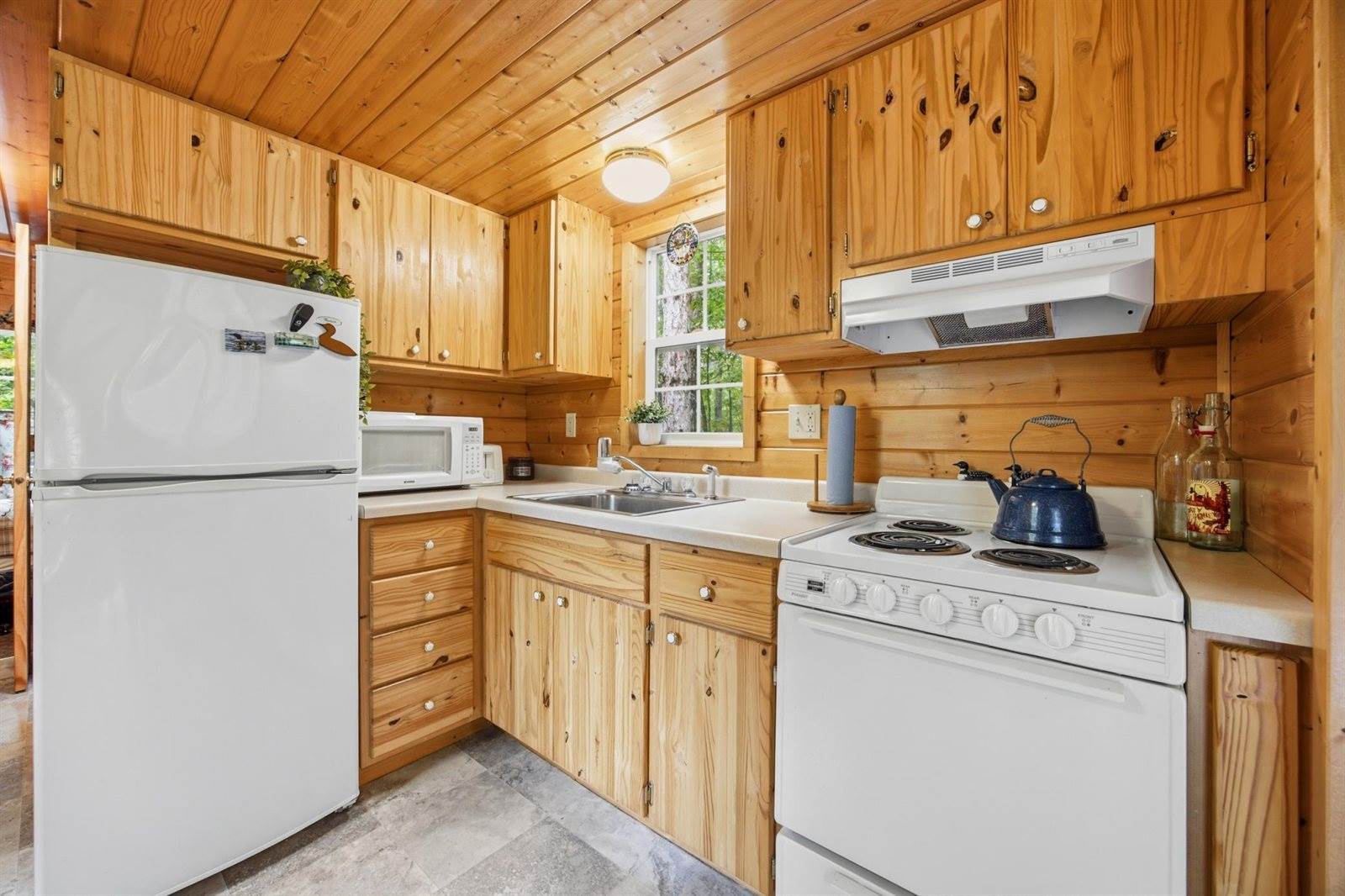 51305 Curly Drive, Deer Creek, MN 56527