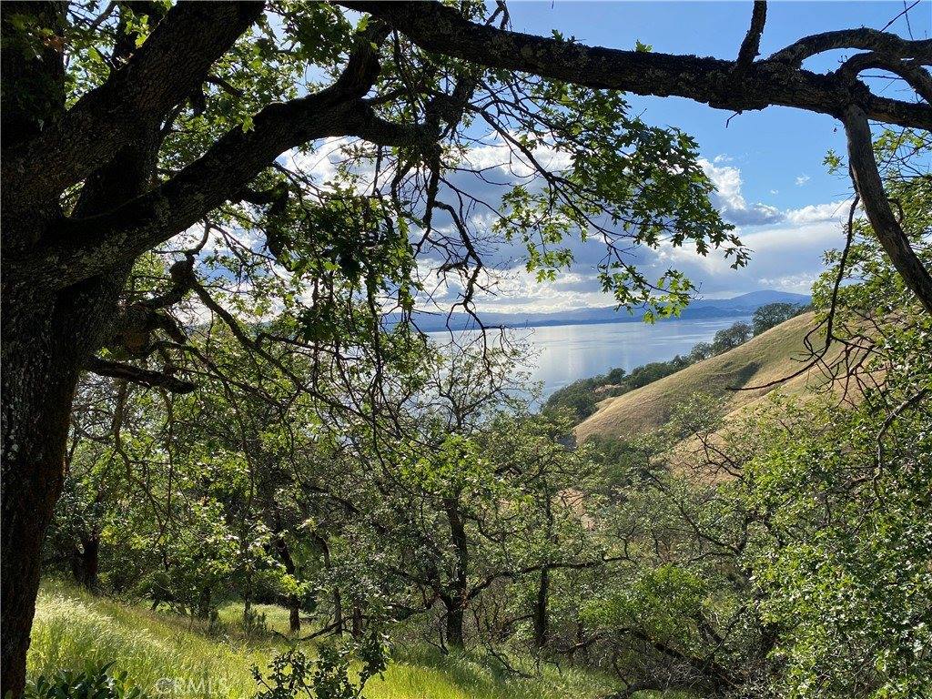 7524 Bruner Drive, Glenhaven, CA 95443