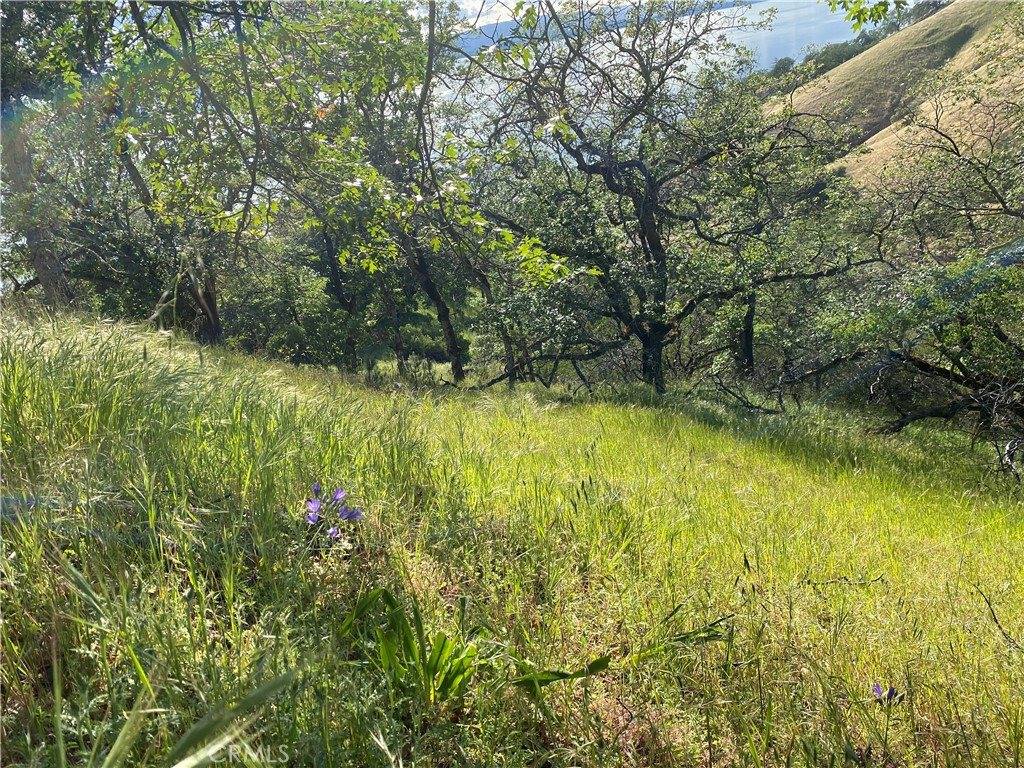 7524 Bruner Drive, Glenhaven, CA 95443