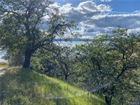 7524 Bruner Drive, Glenhaven, CA 95443
