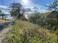 7524 Bruner Drive, Glenhaven, CA 95443