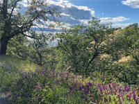 7524 Bruner Drive, Glenhaven, CA 95443