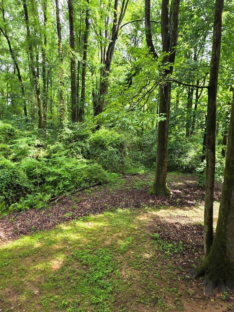 96 Chalet Circle, Pine Mountain, GA 31822