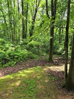 96 Chalet Circle, Pine Mountain, GA 31822
