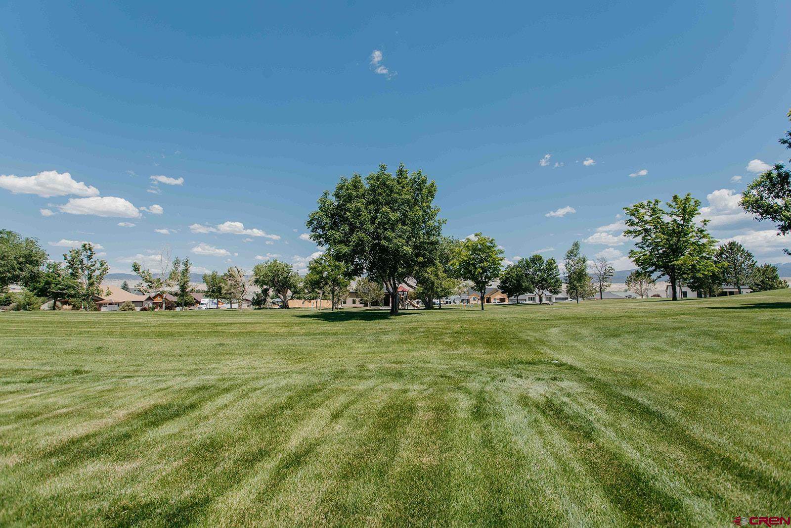 3412 Mahogany Drive, Montrose, CO 81401