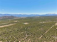 626 Sage Road, Montrose, CO 81403
