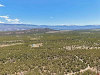 626 Sage Road, Montrose, CO 81403